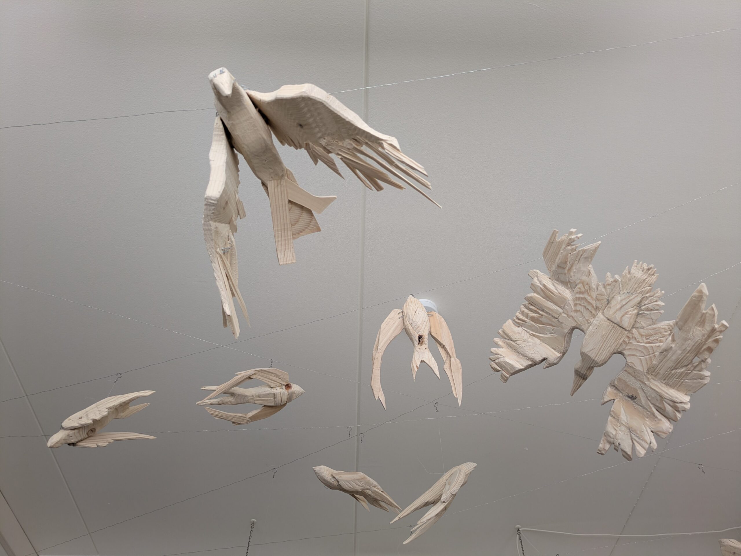 Birds That Will Not Find Their Way Home